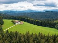 Unikat: Bauernhof - Alleinlage - beeindruckender Panoramablick - Valley