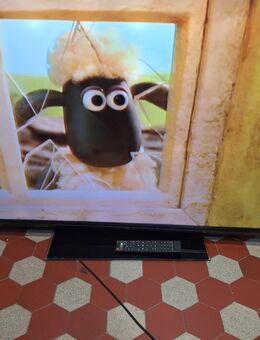 Jtc Led TV 55 zoll - Kassel