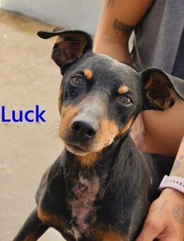 Luck - menschenbezogener Schatz 07/21 ES - Ruppertsecken