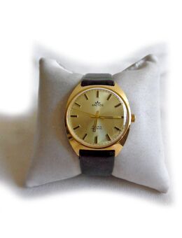 Arctos Armbanduhr - Nürnberg