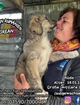 FLOREAN - huhu, ich bin da - wo bist du? - Waakirchen