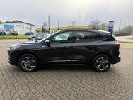 Ford Kuga, 1.5 ST-Line EB, Jahr 2024 - Achern