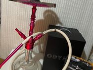 Shisha pink aus aluminium 60 cm - Neuwied