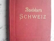 Baedeker’s Die Schweiz, 1901, nebst Oberitalien, Savoyen, Tirol, Handbuch für Reisende, Buch 3,- - Flensburg