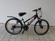 Verkaufe ein Fahrrad der Marke TRIUMPH Sport 21 (24Zoll 21Gang) - Roding Zentrum