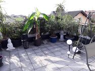 Sonnige DG-Wohnung mit 25qm großen sw Balkon - Freigericht