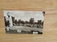 Ansichtskarte-Ak-358-Ehrenfriedhof Hürtgen-Kreis Düren. - Nörvenich