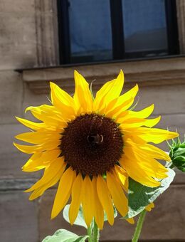 Freizeitgestaltung - Nürnberg