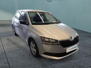 Skoda Fabia, 1.0 MPI Ambition AppleCar, Jahr 2021 - München