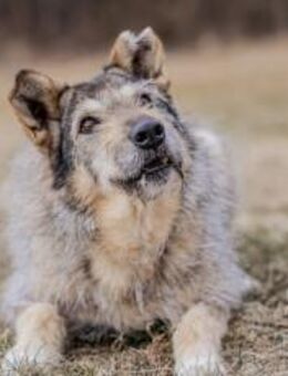 Zeigst du Esma wie toll das Leben ist? - München