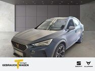 Cupra Formentor 1.4 eHybrid VZ MATT PANO eSITZE LM19 - Hemer