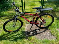 Jugend MTB 26 Zoll - Troisdorf