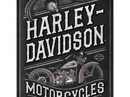 Tolles Harley-Davidson Blechschild Motorcycles Eagle Biker Motorrad 30x40 cm - Hamburg