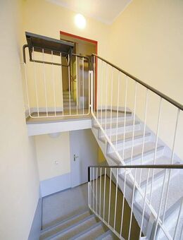 Tolle Erdgeschosswohnung in gepflegtem Wohnumfeld - Eisleben (Lutherstadt)