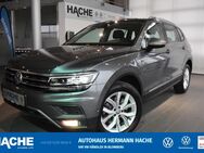 VW Tiguan, 2.0 TSI Allspace Highline, Jahr 2019 - Blomberg (Nordrhein-Westfalen)