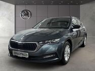 Skoda Octavia, 2.0 TDI Combi Ambition, Jahr 2020 - Landsberg (Lech)