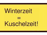 Winterzeit = Kuschelzeit! Witwer sucht Frau. - Berlin