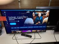 Philips Led TV 32 Zoll - Kassel