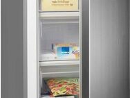 Hanseatic Gefrierschrank HGS8555CI, 85 cm hoch, 55 cm breit