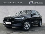 Volvo XC60, Diesel D4 AWD Momentum, Jahr 2018 - Coesfeld