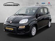 Fiat Panda, 1.0 Base Mild Hybrid el SP Spieg beheizbar teilb Rücksb, Jahr 2023 - Bremerhaven