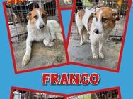 Trauriger Franco sucht Hoffnung! - Nürnberg