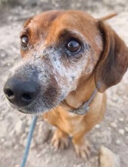 Neo ist unkompliziert - Donaueschingen