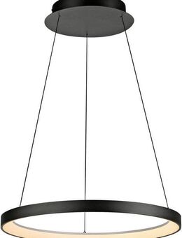 Paul Neuhaus Pendelleuchte HOOP, Dimmfunktion, LED fest integriert, Warmweiß, LED, dimmbar, Simply Dim, Memory, nach Trennung vom Netz, Comfort Lift