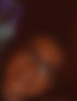 Dia*** - Eisleben (Lutherstadt) Wolferode