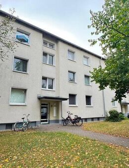 Ab sofort frei ! Gemütlich 2,5- Zimmer Wohnung mit Balkon in Düsseldorf- Hassels ! Provisionsfrei! - Düsseldorf