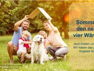 Sommer in den neuen 4 Wänden! TOP sanierte Familienwohnung sucht neue Mieter. - Verden (Aller)