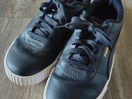 Puma Sneaker schwarz/weiß - Bielefeld