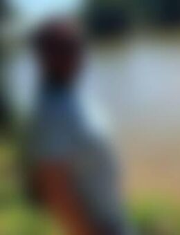 Leo*** - Königsbronn