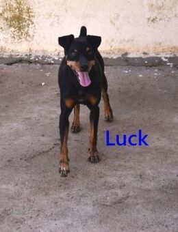 Luck - menschenbezogener Schatz 07/21 ES - Ruppertsecken