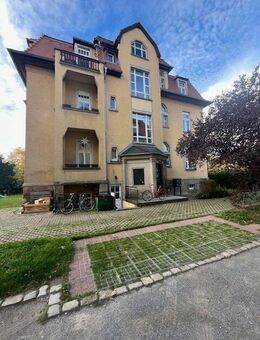 3 Zimmer Wohnung im Souterrain in historischer Villa am Großen Garten - Dresden