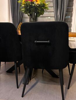 Esszimmerstühle 6 Stk - Köln