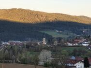 Suche freundliche Haushalthilfe - Drachselsried