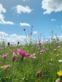 Sonntag 20. Juli 14-15 Uhr Rohbaubesichtigung Naturliebhaber aufgepasst! Gartenwohnung mit großem Hobbyraumbereich (22,89m² zusätzlicher Platz) - Erlangen