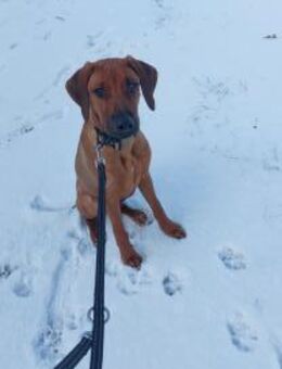 Kiano sucht sein Traumschloss - Wiesenburg