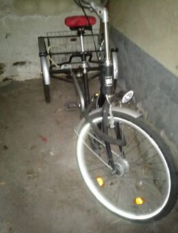 Pfautec Dreirad für Erwachsene - Köln