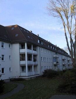 Hochwertig modernisierte 2- Zimmer-Wohnung - Lehrte