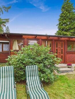 Ferienhaus mit Erstwohnsitz direkt an der Aller - Wietze