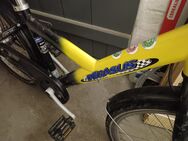 Verkaufe Fahrrad 24 zoll - Bielefeld