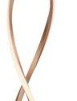 Paul Neuhaus Stehlampe POLINA, Dimmfunktion, LED fest integriert, Warmweiß, LED, dimmbar über Schnurdimmer