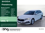 Skoda Octavia, 2.0 TDI Combi Style Octavia Combi St, Jahr 2022 - Freiburg (Breisgau)