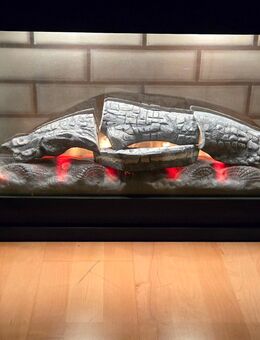 Kaminofen elektrisch mit Fernbedienung - München