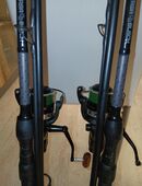 Karpfenruten in 42899