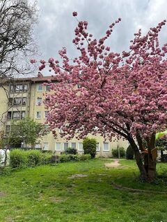 Renovierte 2-Zimmer-Wohnung im Dachgeschoss!