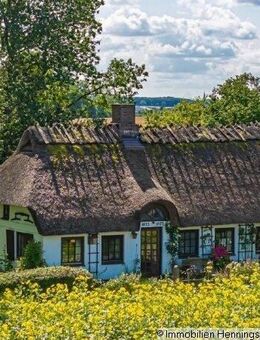 Reetkate mit eigenem Wald- echte Alleinlage- Ostsee 4km - Steinberg (Schleswig-Holstein)