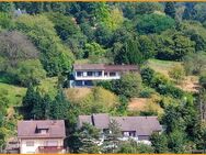 Axel Meisen Immobilien: Hügelthron - Naturidyll mit Weitblick - Heidelberg